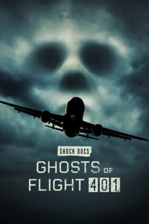 Ghosts of Flight 401 poszter