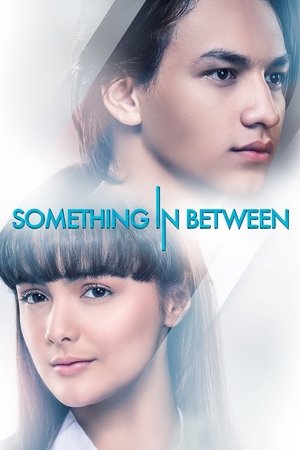 Something In Between poszter