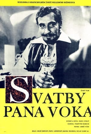 Svatby pana Voka poszter