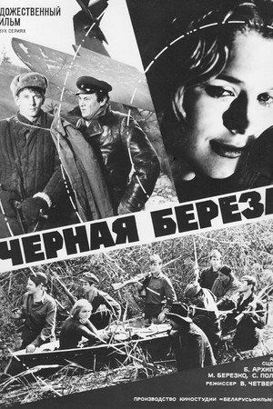 Чёрная берёза poszter