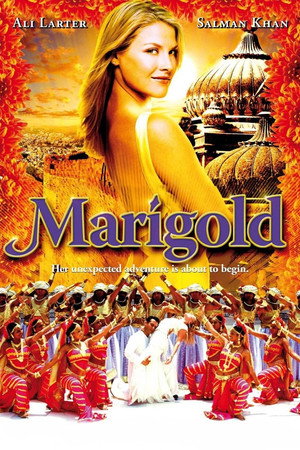 Marigold poszter