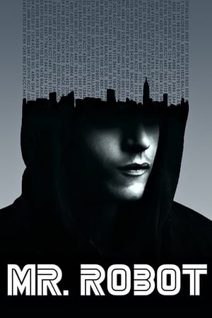 Mr. Robot poszter