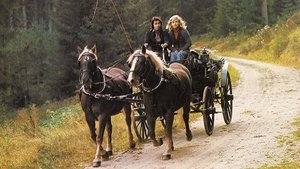 Schwarzwaldfahrt aus Liebeskummer háttérkép