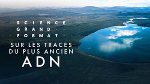 Science grand format 9. évad Ep.15 15. epizód