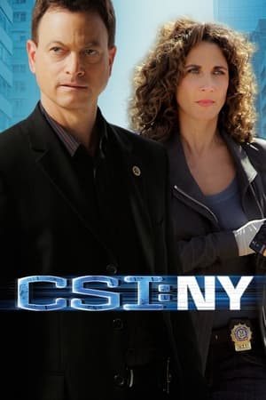 CSI: New York-i helyszínelők poszter