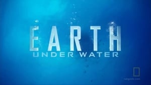 Earth Under Water háttérkép