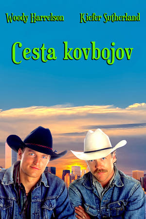 Két cowboy New Yorkban poszter