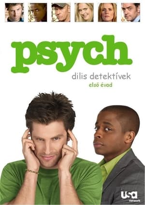 Psych - Dilis detektívek