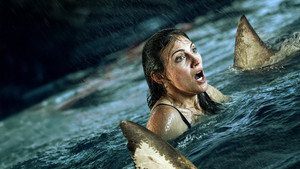 Shark Thrash háttérkép