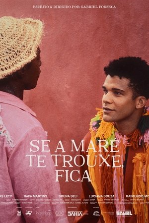 Se a Maré te Trouxe, Fica poszter