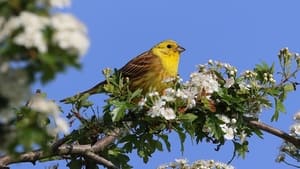 Springwatch 22. évad Ep.12 12. epizód