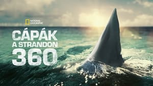 Cápák a strandon 360 kép