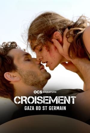 Croisement Gaza - Boulevard Saint-Germain poszter