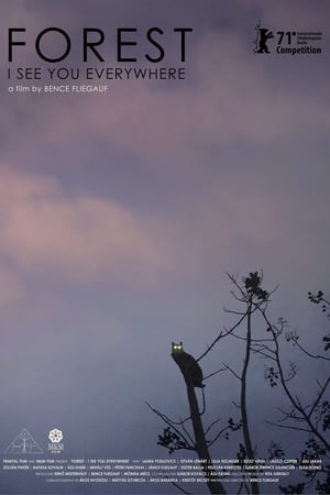 Rengeteg - Mindenhol látlak