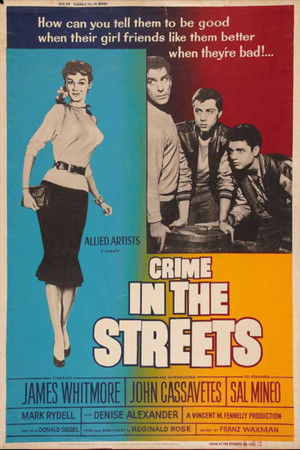 Crime in the Streets poszter