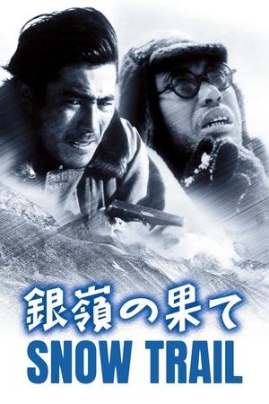 銀嶺の果て poszter