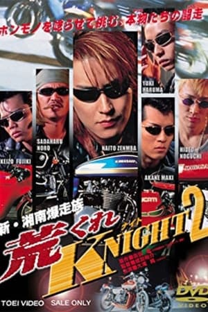 新・湘南爆走族　荒くれKNIGHT２