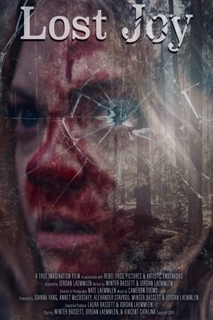 Lost Joy poszter
