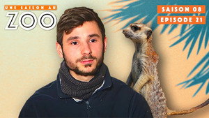 Une saison au zoo Season 8 Ep.21 21. epizód