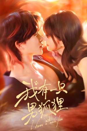 我有一只男狐狸