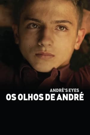 Os olhos de André poszter