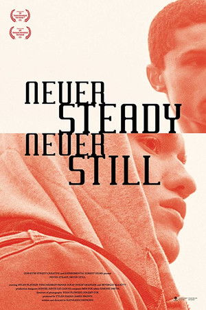 Never Steady, Never Still poszter