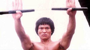 龍拳蛇手 háttérkép