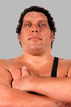 André the Giant profil kép
