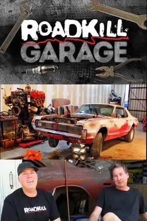 Roadkill Garage poszter