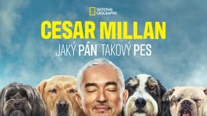 Cesar Millan: Jó gazdi, jó kutya kép