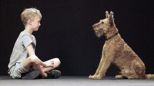 Hund und Mensch: Das Geheimnis einer Freundschaft háttérkép