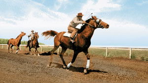 The Story of Seabiscuit háttérkép