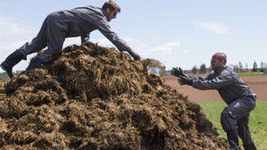 The Amazing Race Canada 2. évad Ep.10 10. epizód