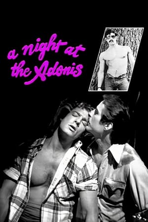 A Night at the Adonis