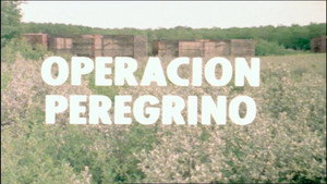 El hombre y la Tierra 3. évad Ep.4 4. epizód