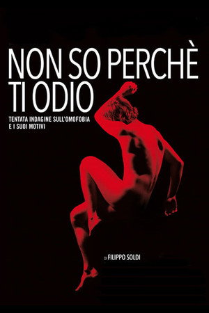 Non so perché ti odio poszter