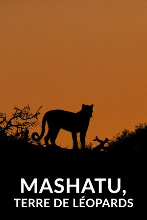 Mashatu: Leopárdok birodalma poszter