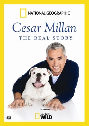 Cesar Millan igaz története poszter