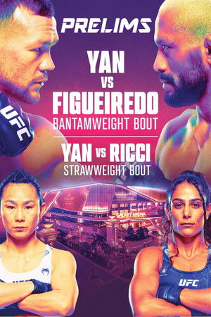 UFC Fight Night 248: Yan vs. Figueiredo poszter