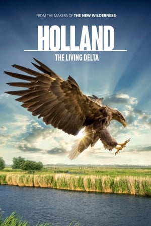 Holland: Natuur in de Delta poszter