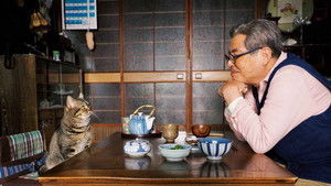 ねことじいちゃん háttérkép