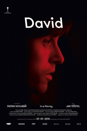 David poszter