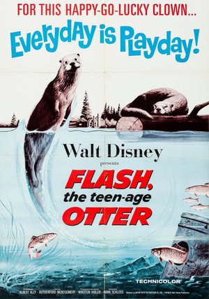 Flash, The Teenage Otter poszter