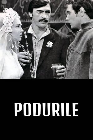 Мосты poszter