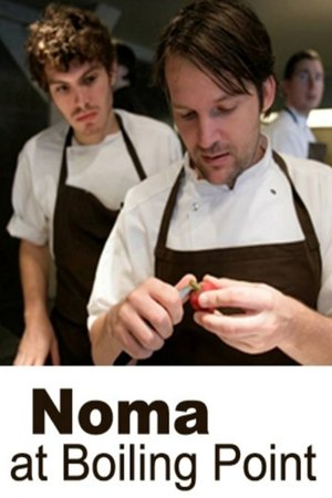Noma på kogepunktet poszter