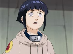 Naruto 1. évad Ep.46 A byakugan-párbaj! Hinata bámulatos eltökéltsége!