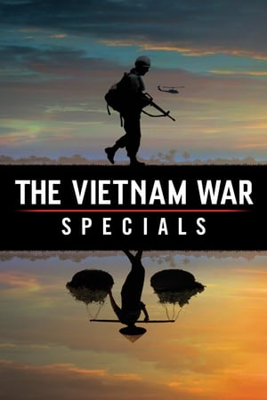 The Vietnam War