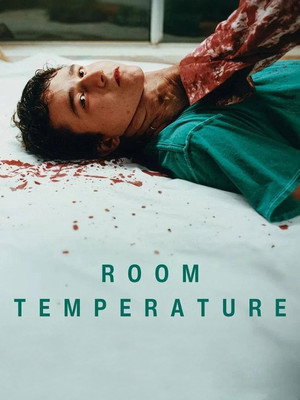Room Temperature poszter
