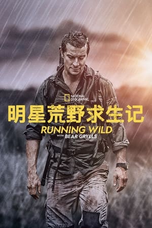 Bear Grylls: Sztárok a vadonban poszter