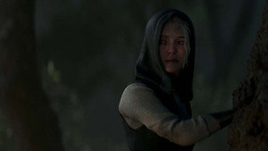 SJOR | Rise of the North háttérkép